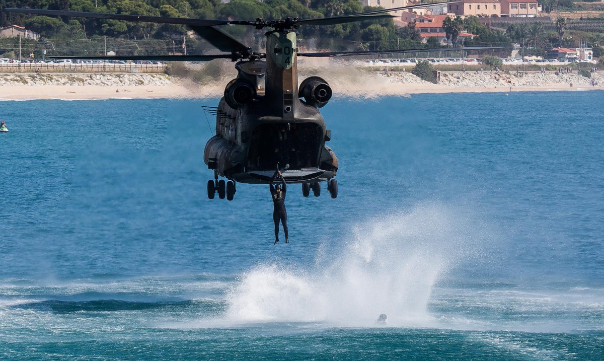 rseriol's tweet image. Ale-Hop! (Jumping)
#dPSFlight #dPSWeeklyChallenge