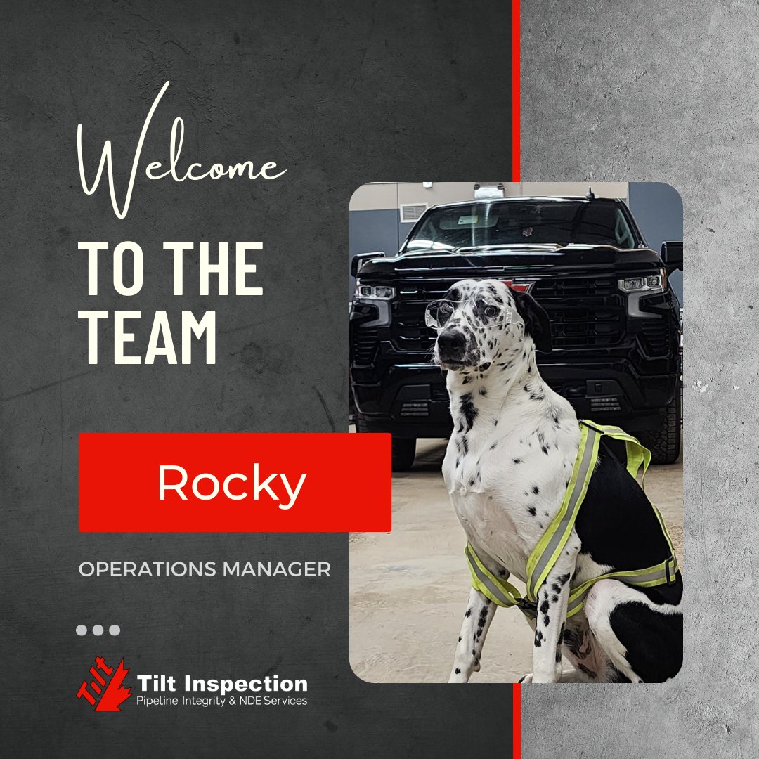 Tilt has gone to the dogs!
We would like to welcome our new operations manager Rocky!

Rocky will be in charge of coordinating our technicians and ensuring plenty of belly rubs are scheduled!

Happy April Fools!

#pipelineindustry #operationsmanager #pipelineindustry #aprilfool