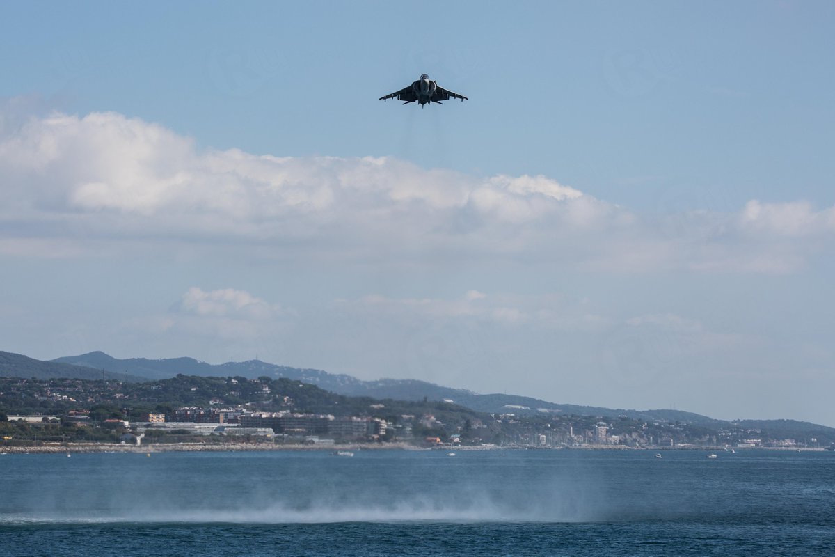 rseriol's tweet image. Harrier
#dPSFlight #dPSWeeklyChallenge