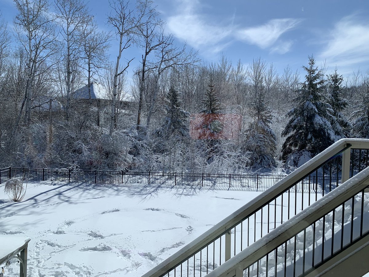 asaarinen's tweet image. Good morning April (not a joke)… #MinnesotaSpring 😩