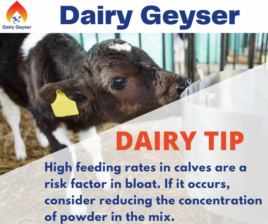 Farming Tip for the week..
To know more about Dairy Geyser, call us @0872362397
Visit us: dairygeyser.ie
#dairyfarm #farmers #farming #farmingtip #agrilife #irishagrilife #farmersinireland #farm #agriculture #farmlife