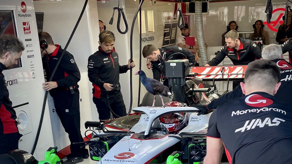 Günther Steiner 🤬 tweet media