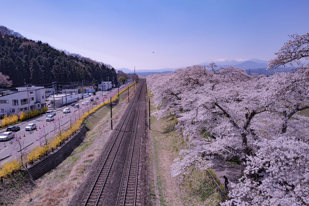 ecrette_mayu's tweet photo. 絶景とは正にこのこ��🌸 https://t.co/Yc6j8lI2Ok