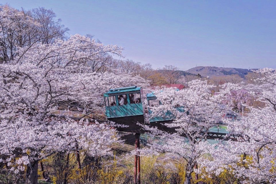 ecrette_mayu's tweet photo. 絶景とは正にこのこ��🌸 https://t.co/Yc6j8lI2Ok