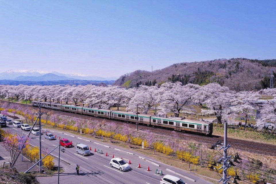 ecrette_mayu's tweet photo. 絶景とは正にこのこ��🌸 https://t.co/Yc6j8lI2Ok