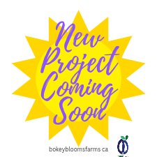 bokeybloomsfarm's tweet image. #t8n #yegshoplocal #edmontonmade #supportlocalyeg #supportlocalt8n #yegbiz #yegfruit #yegfarmersmarket #prarieberry #yegsupportlocal #t8nsupportlocal #yegorchard #yegfarm #edmontonlife #yeglocalbusiness #stalbertbusiness #madeinyeg #albertafarming #yegfamily #yegsmallbusiness