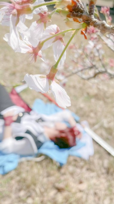 &lt;Cosplay&gt; ｰ 薄桜鬼 ｰ｢玉の緒よ　絶えなば絶えね　           ながらへば　忍ぶることの