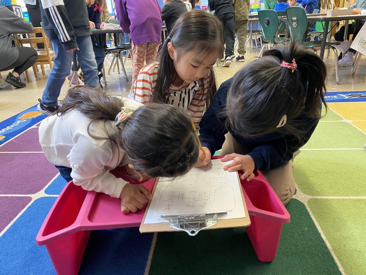DGreen159's tweet photo. K217 is writing to make the school a better place! We identified problems in our school and offered a “fix it” solution. We celebrated our hard work by asking our mentor writers to read and sign our petitions if agreed @MrsZachariadis @PS159_Q @class_205 https://t.co/CvZHyvmEpA