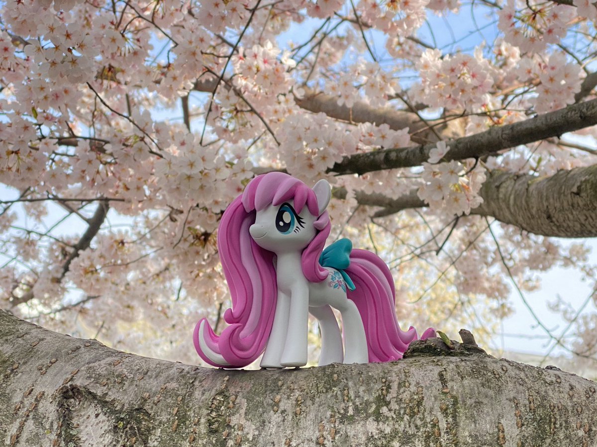 HollyIvyDesigns's tweet photo. The cherry blossoms in my neighborhood are finally fluffy enough for good pictures! Thank you to @Krowzi for bringing my girl to life - she is perfect and I love her!! :) https://t.co/Dl5ZNFLceC