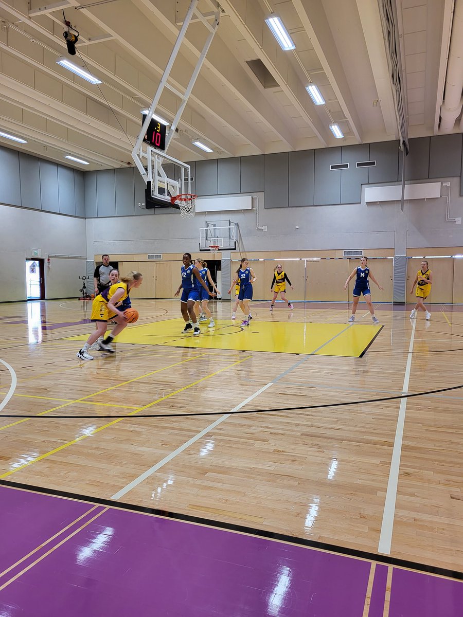 leikas toni tweet media