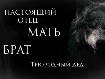 хочется как-то оживить это место и почаще сюда заходить, поэтому #поискмью

я мар, она/ее
99lvl
косплеер, много твитов на эту тему✨
ульты skz и shinee, но в целом много кого слушаю 
с удовольствием обсужу аниме и генш

пишите в рп, буду рада подружится 😸