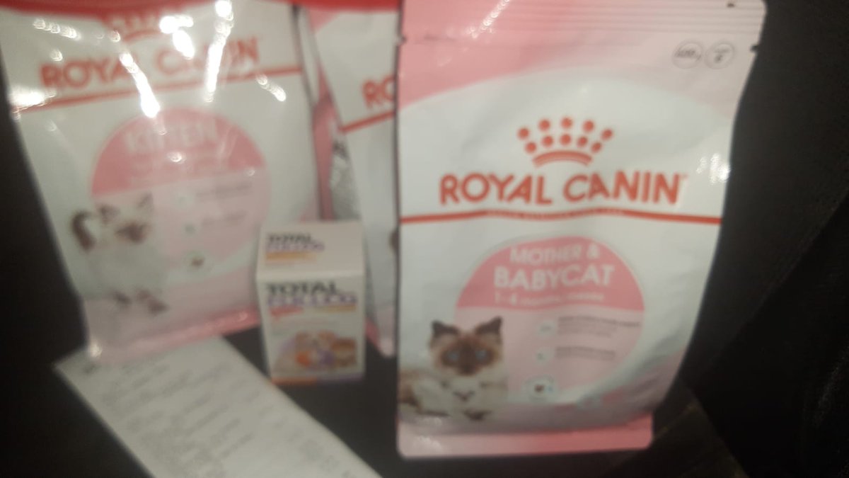 SmartCatsClub's tweet photo. The help has arrived to the destiny and the food is ready for the cats!! Sorry for the delay 😿
We are making the best for the best ❤️ https://t.co/jYgC5wIq6j
