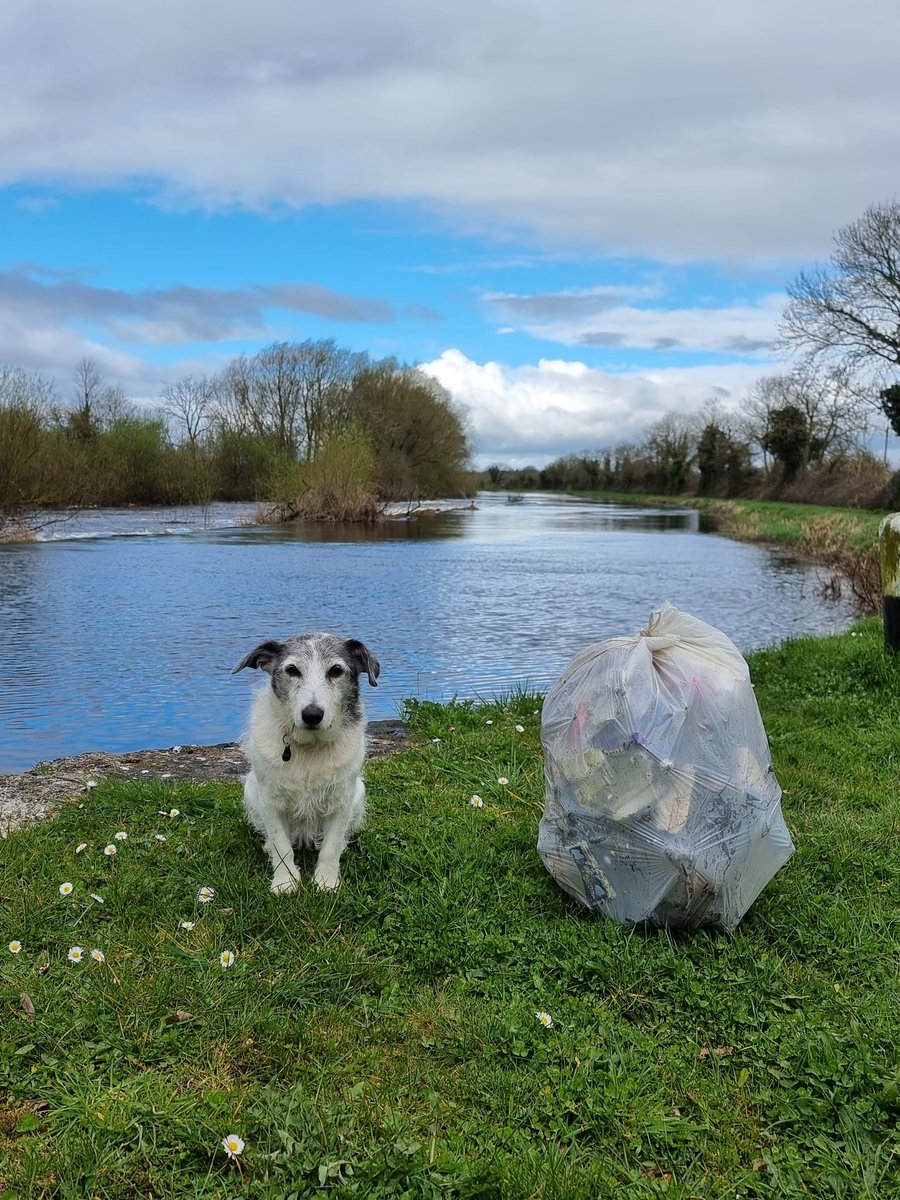 roriain's tweet photo. It is always good to get back strolling on the Barrow Track. Maganey bridge to the Lerr. The Queen bumblebees were having to work hard in gusty conditions. Mare's tail. Another rewarding #litterpick. #LeaveNoTrace #BarrowWay #lovewhereyoulive https://t.co/3er1EDjk9p