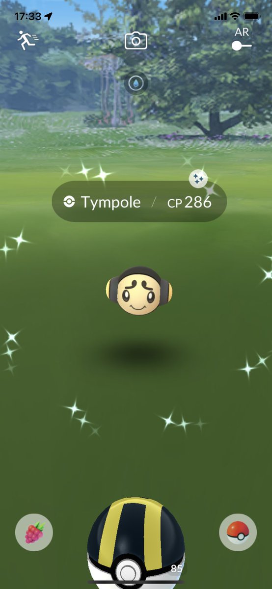 RedMystic81's tweet photo. Tympole was simply late for the party 😁 https://t.co/GNwICohVZ6