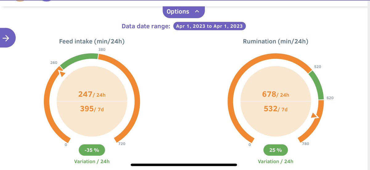 brianreidy75's tweet image. Cows rehoused yesterday morning. 35% less time eating and 25% more time ruminating. Less work for the cow, more work for the farmer. #wetspring #sucklers #silagetobeef