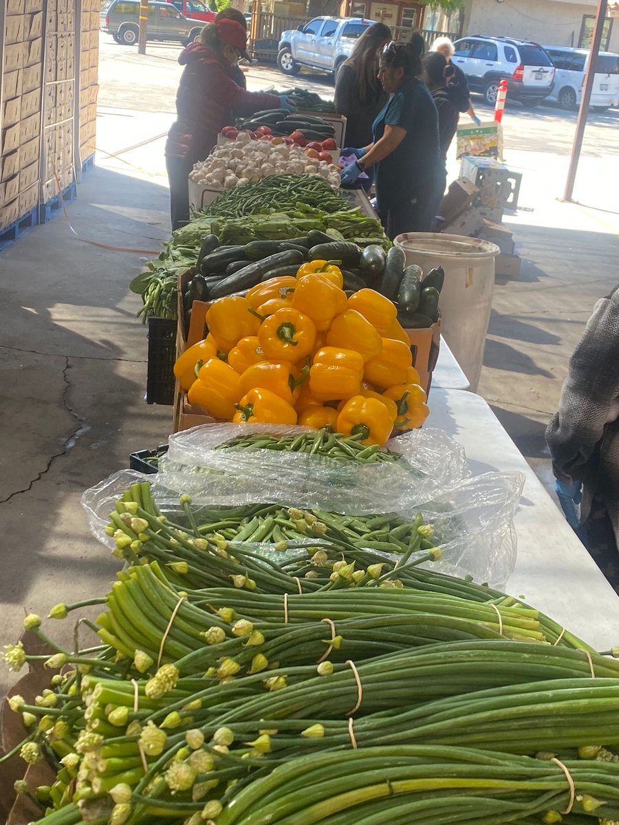 Rain had a devastating effect on workers in Ventura Co., CA. Yesterday, on #CesarChavezDay, the UFWs farmworker led De 'Campesinxs a Campesinxs' coalition's food distribution served 300+ families in Piru CA. Most were lemon workers-both from the fields & packing houses #WeFeedYou