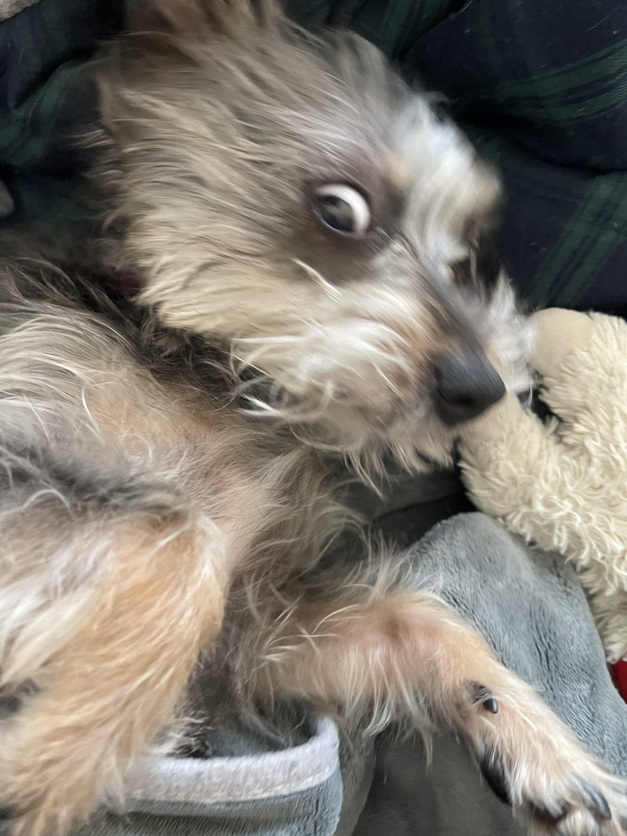 She’s beauty, she’s grace.