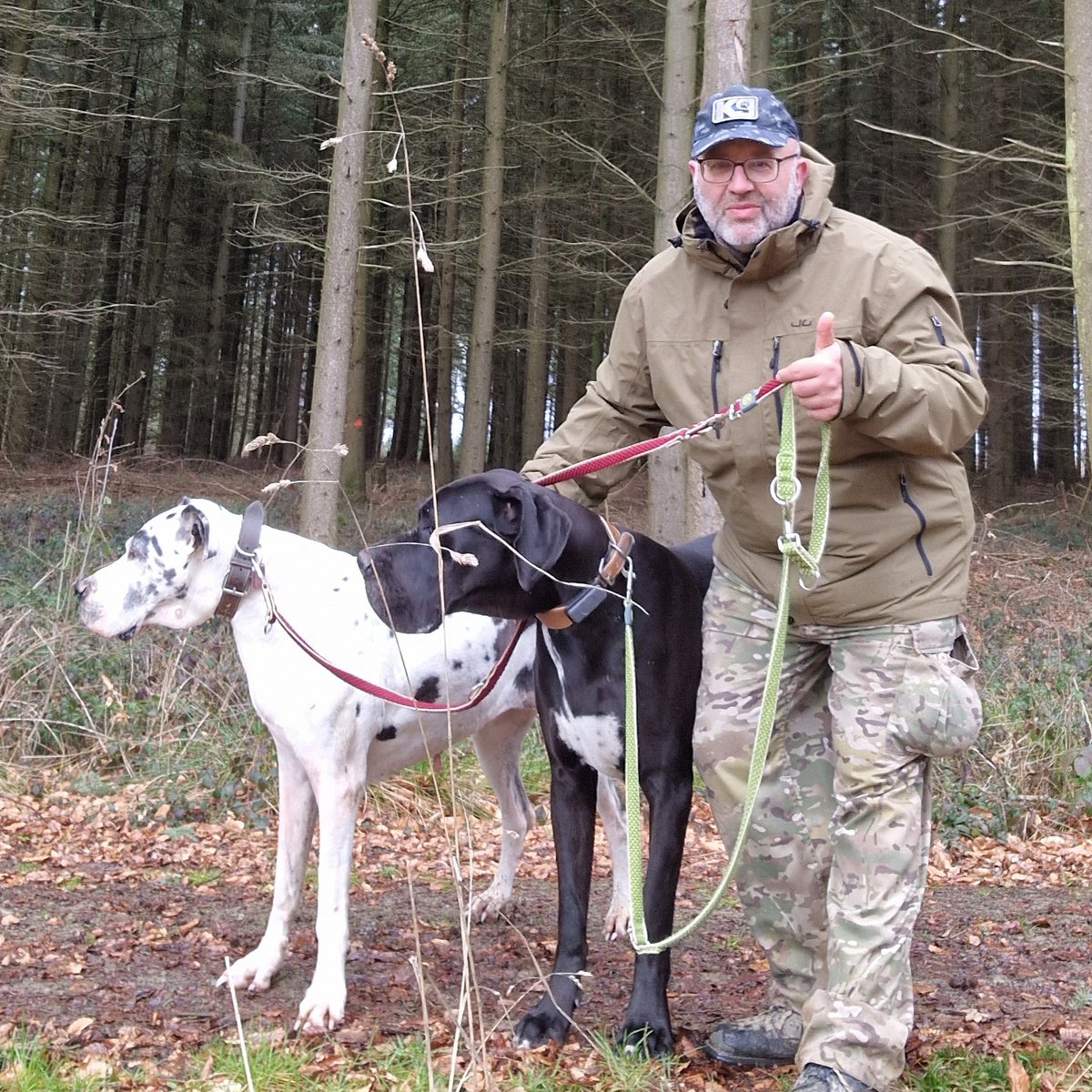 MatthiasH25's tweet photo. #greatdanes https://t.co/zXHzfuEzhM