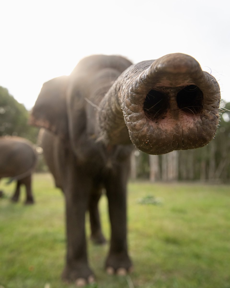 BindiIrwin's tweet photo. sanctuary • haven • home 

@AustraliaZoo https://t.co/7mmJzWgmWo