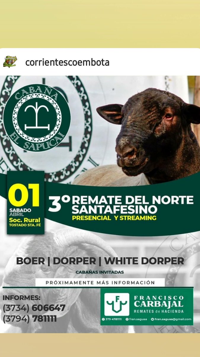 Entra en el siguiente link para ver la transmisión en VIVO. corrientescoembota.com/remates/en-viv…