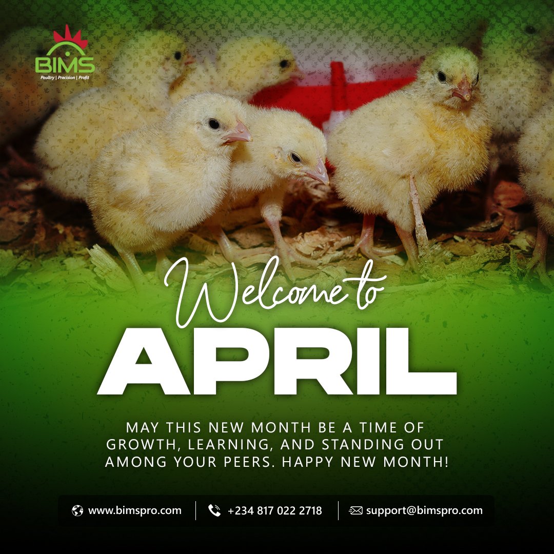 Bimspro_'s tweet photo. Welcome to April

May this new month be a time of growth, learning, and standing out among your peers. Have a great month ahead. 

Happy New Month!

#BIMS #April #NewMonth #Broiler #Poultry #Precision #Profit #agfintech #agritech #agric #explore #food #chicken #farm #farmer #fao https://t.co/mlMhljq9bA