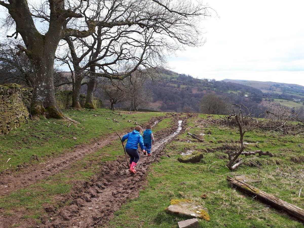 Catherine Clarke (@cathamclarke) on Twitter photo 5 years ago today we were testing the <a href="/StThomasWay/">The St Thomas Way</a> at beautiful #Patrishow. We managed to get our car stuck in the mud - but with the St Thomas Way online resources, you can make a much easier virtual visit! Explore the 360˚ tour, listen to the stream at the holy well, & more... 5 years ago today we were testing the <a href="/StThomasWay/">The St Thomas Way</a> at beautiful #Patrishow. We managed to get our car stuck in the mud - but with the St Thomas Way online resources, you can make a much easier virtual visit! Explore the 360˚ tour, listen to the stream at the holy well, & more...