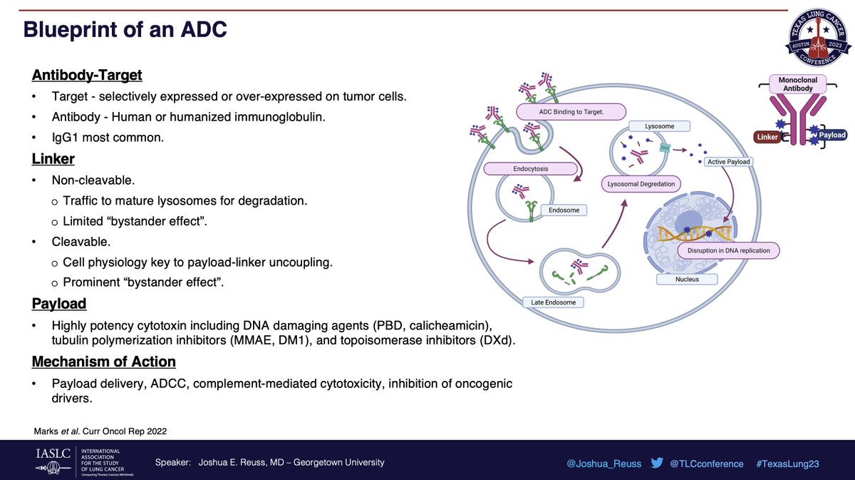 StephenVLiu's tweet photo. Dr. @Joshua_Reuss gives a great talk at #TexasLung23 on antibody drug conjugates including ADCs targeting #Trop2 #HER2 #HER3 #B7H7 #CEACAM5. Important class of agents, each with a unique target and set of toxicities. How will we use these in the future: combinations? 1L? https://t.co/Opb222LeGm