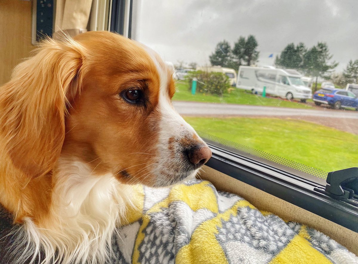 Camping! 🏴󠁧󠁢󠁳󠁣󠁴󠁿🐶❤️🚐
.
#motorhome #scotland #dogsincampervans