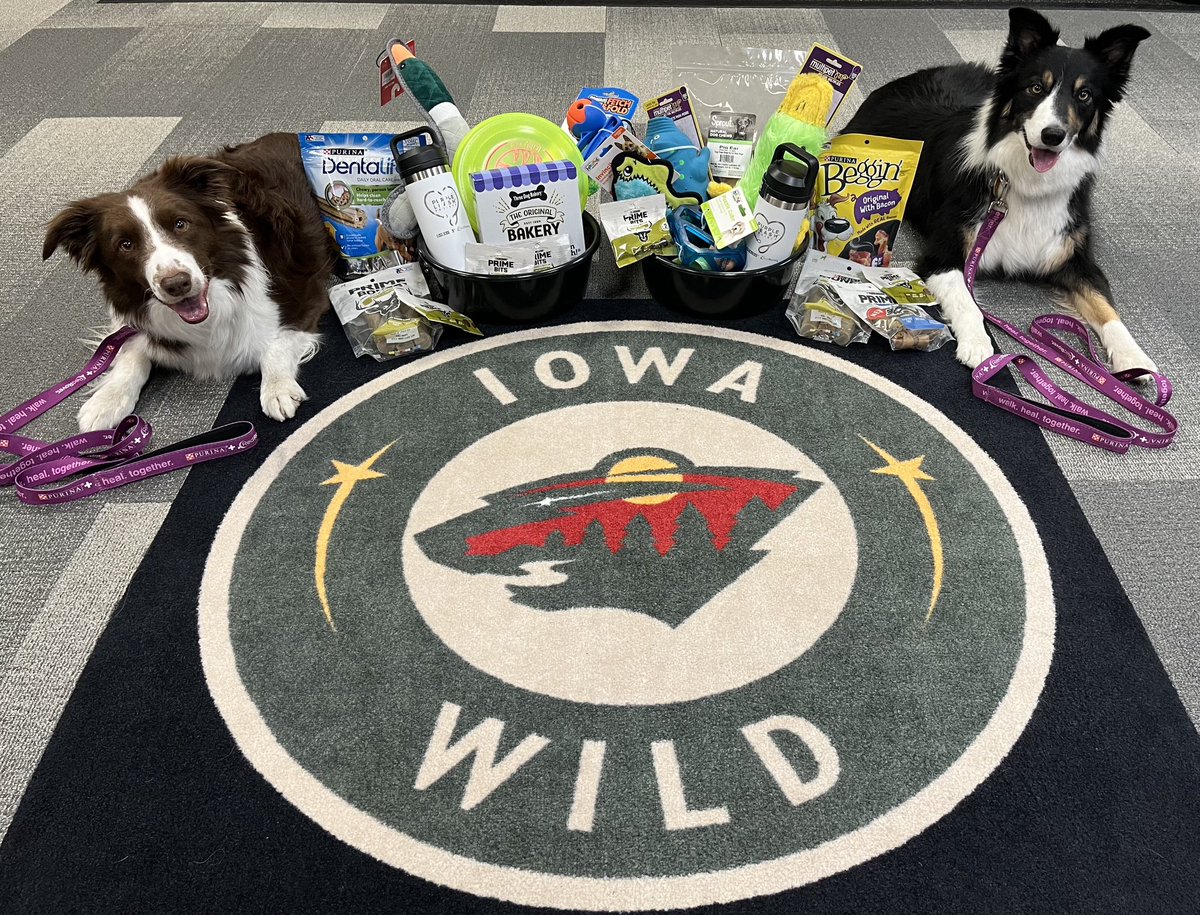 Dakota Mermis tweet media