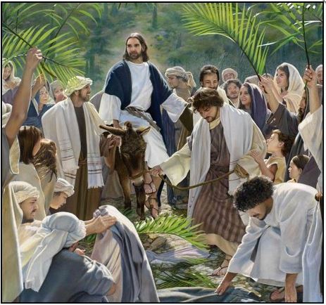 stacincinnati's tweet photo. St. Anthony's weekly Bulletin
For Palm Sunday &amp; Holy Week
April, 2, 2023
https://t.co/XMe5U3xUNs https://t.co/MBQJ8n2GMj