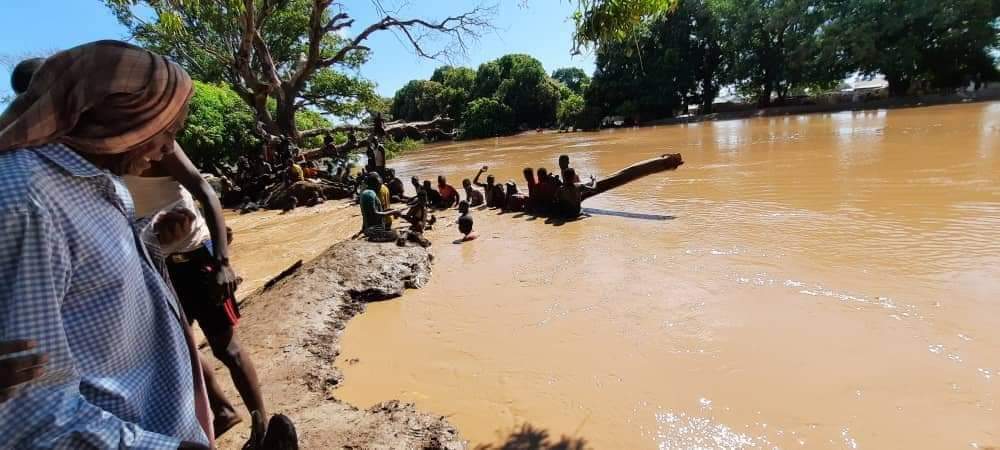AGREForg's tweet photo. Flooding in Raqayle &amp; Buurfuule displaced families and led to a loss of life. we are with those who have been affected by the floods from shabelle river. @UNDPSomalia @unicefsomalia @UNHCRSom #actionagainstfloods #flooding #floodsinsomalia. https://t.co/SAzTg4J1xL