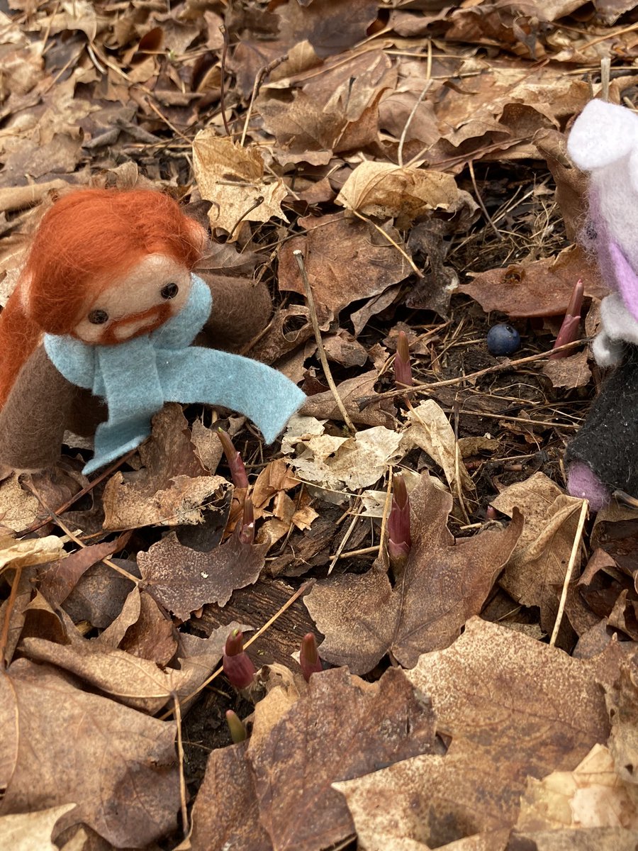 piratethextine's tweet photo. Wimzerd enrichment day one: take the new dirt bean out on a spell component finding mission #smolessekventures #CalebWidogast #essekthelyss #shadowgast #shadowbean https://t.co/nJDfeC8hAw
