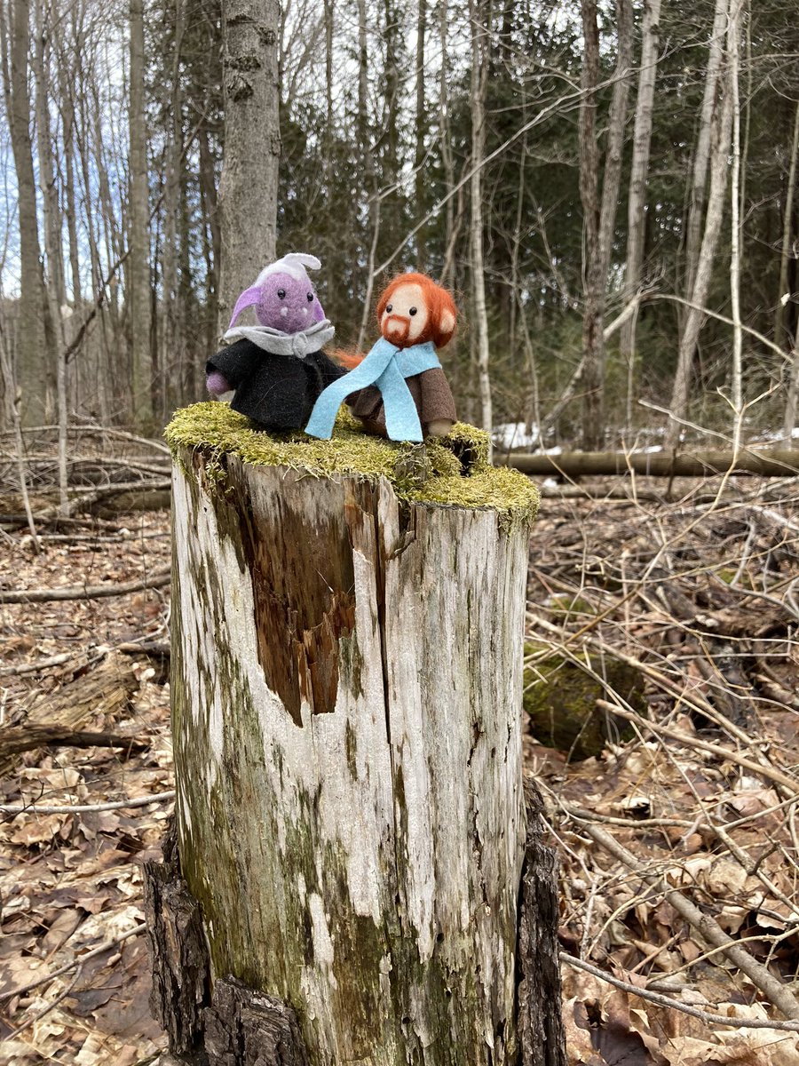 piratethextine's tweet photo. Wimzerd enrichment day one: take the new dirt bean out on a spell component finding mission #smolessekventures #CalebWidogast #essekthelyss #shadowgast #shadowbean https://t.co/nJDfeC8hAw