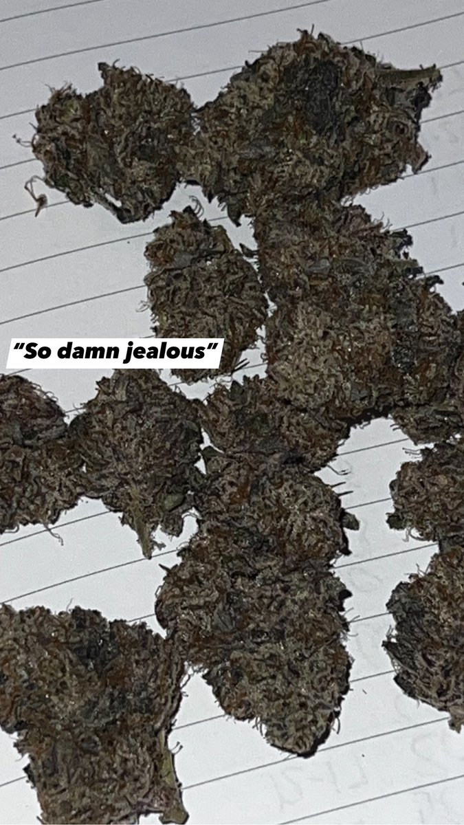 SMcpot508's tweet image. “So damn jealous” by “tastebuds” ME #Mmemberville #Medical #StickyIcky #Piff #Stoned