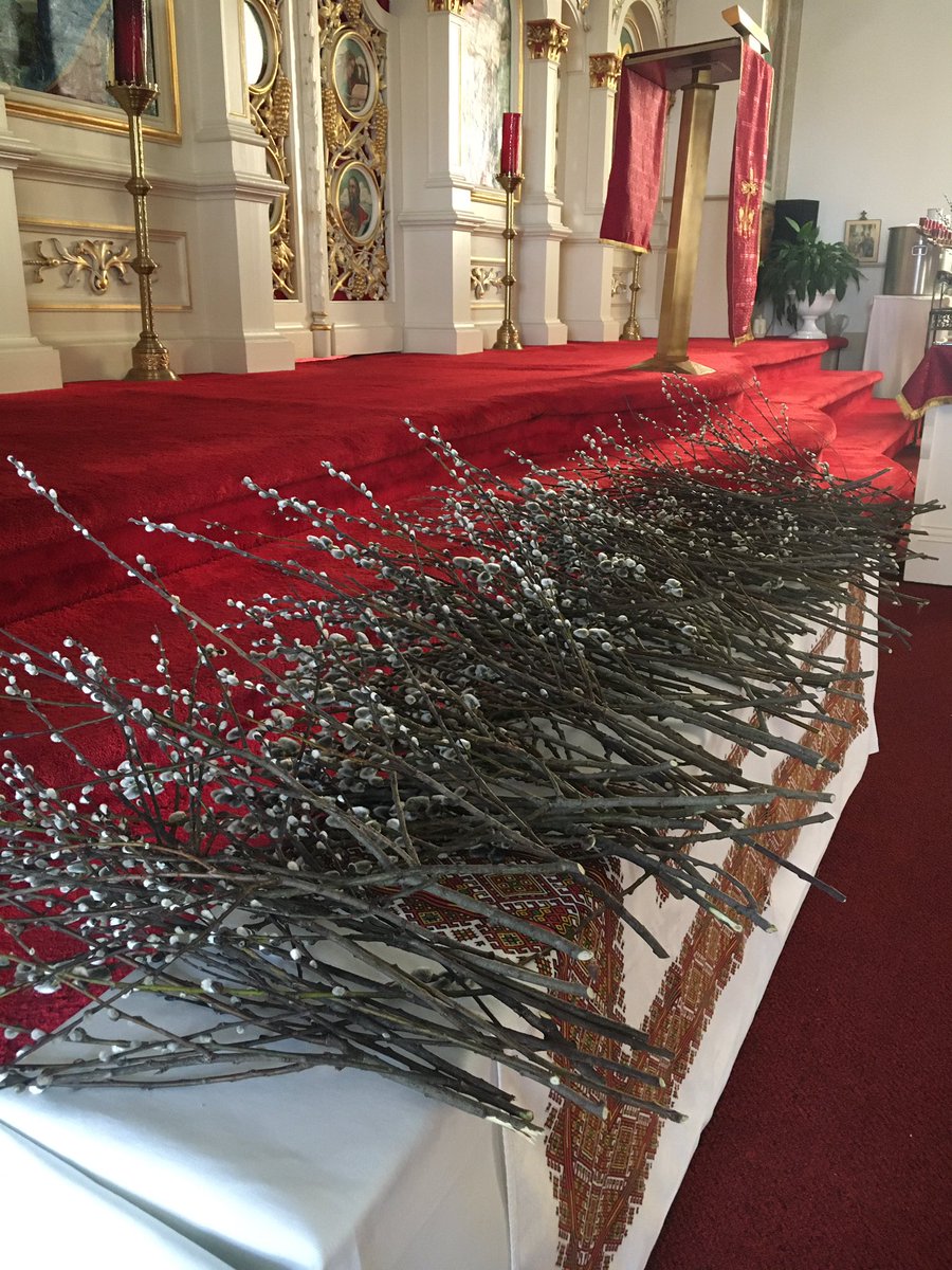 ForagingForever's tweet photo. Ready for Palm
Sunday tomorrow and heading into Holy Week.
#CatholicTwitter #EasternRite #UGCC https://t.co/95nYn3Aw5S