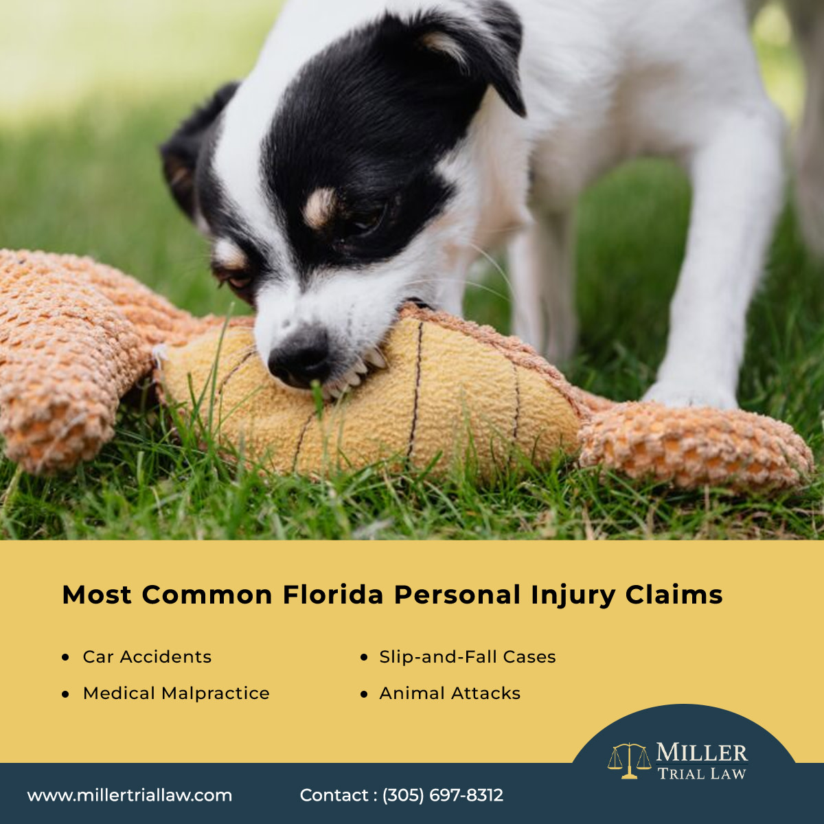 Most Common Florida Personal Injury Claims
VIEW TIPS... millertriallaw.com

#personalinjurylawyer #personalinjuryattorney #piattorney #pilawyer #miami #fortlauderdale #browardcounty #miamidadecounty#miamilawyer #miamiattorney