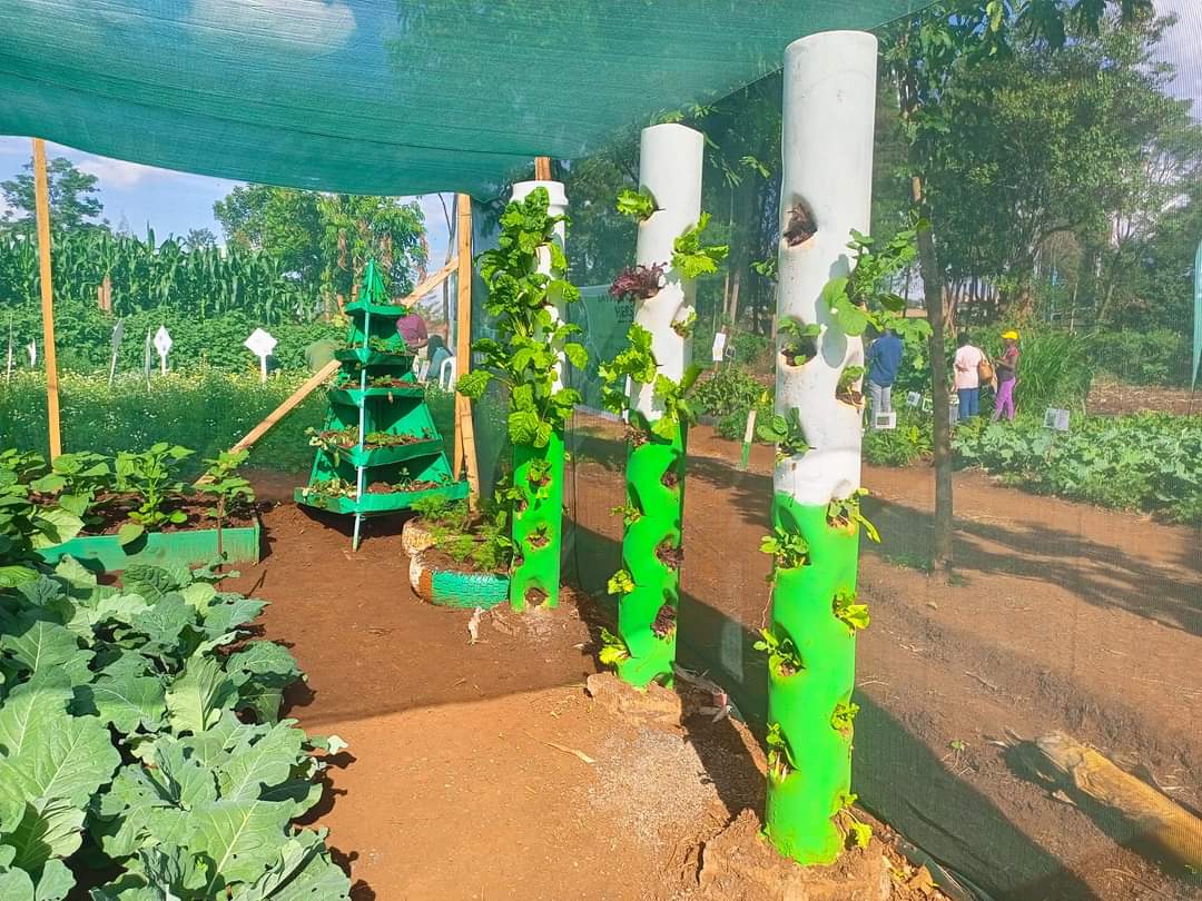 SokofarmKE's tweet photo. Urban and Peri Urban farming technologies.
πΈ: @Kalroseeds #kalroat10 https://t.co/ONLlSiPrHM