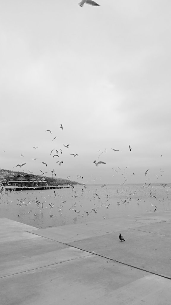 Tuğçe (@tugcekul0) on Twitter photo 