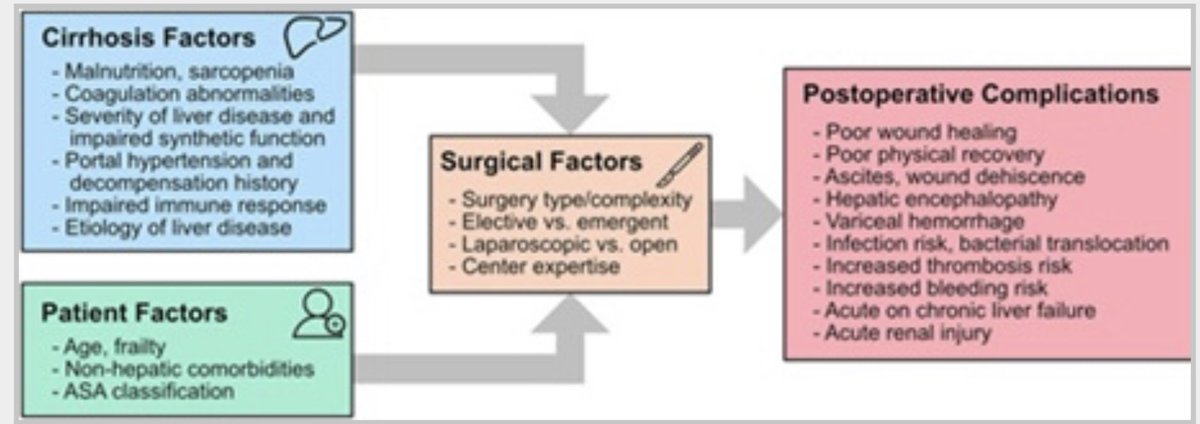 ebtapper's tweet photo. Bookmark this: Assessing the risk of surgery in patients with cirrhosis

https://t.co/K1jYSP7jYh

Authoritative. Useful. #livertwitter

From Kaltenbach and Nadim “https://t.co/TT42LBxpi2” Mahmud https://t.co/vxlSlBP2kT
