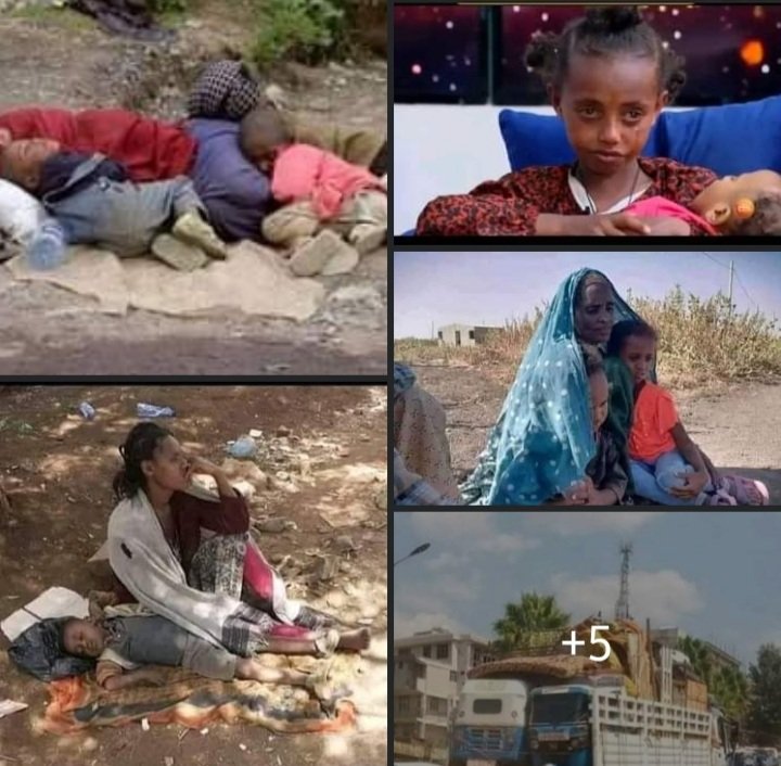 Habiba__Yasin's tweet photo. የመጋቢት 24 - ውርሶች ‼
#AmharaGenocide https://t.co/0W7DGCf40G