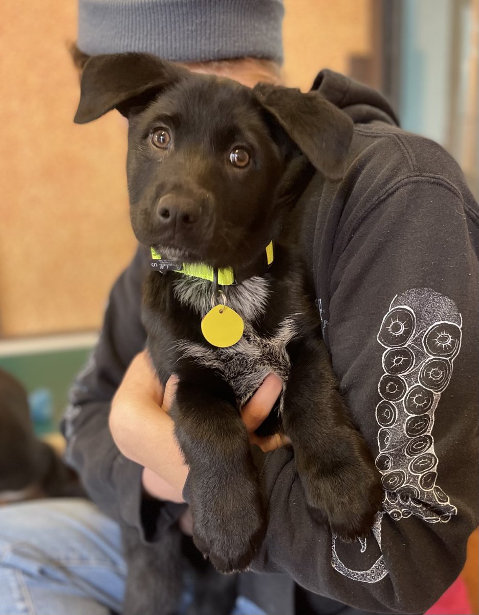 The NOAH Center tweet media