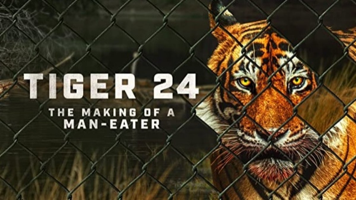 NameisSoni's tweet photo. #Tiger24 ( English) - Prime - Documentary
#DoogieKamealohaMD Season 2 (English) - Drama - Hotstar - Series
#Arkansas (English) - Crime,Thriller - Lions Gate - Movie
#BrokenBread (English) - Hotstar - Documentary https://t.co/TNc0gu80Wr