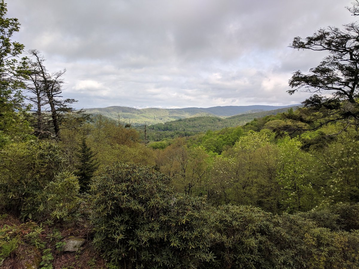 redtailoutdoor's tweet photo. It's nice out here. You should try it sometime 🦊 https://t.co/qlvtvrf6VI