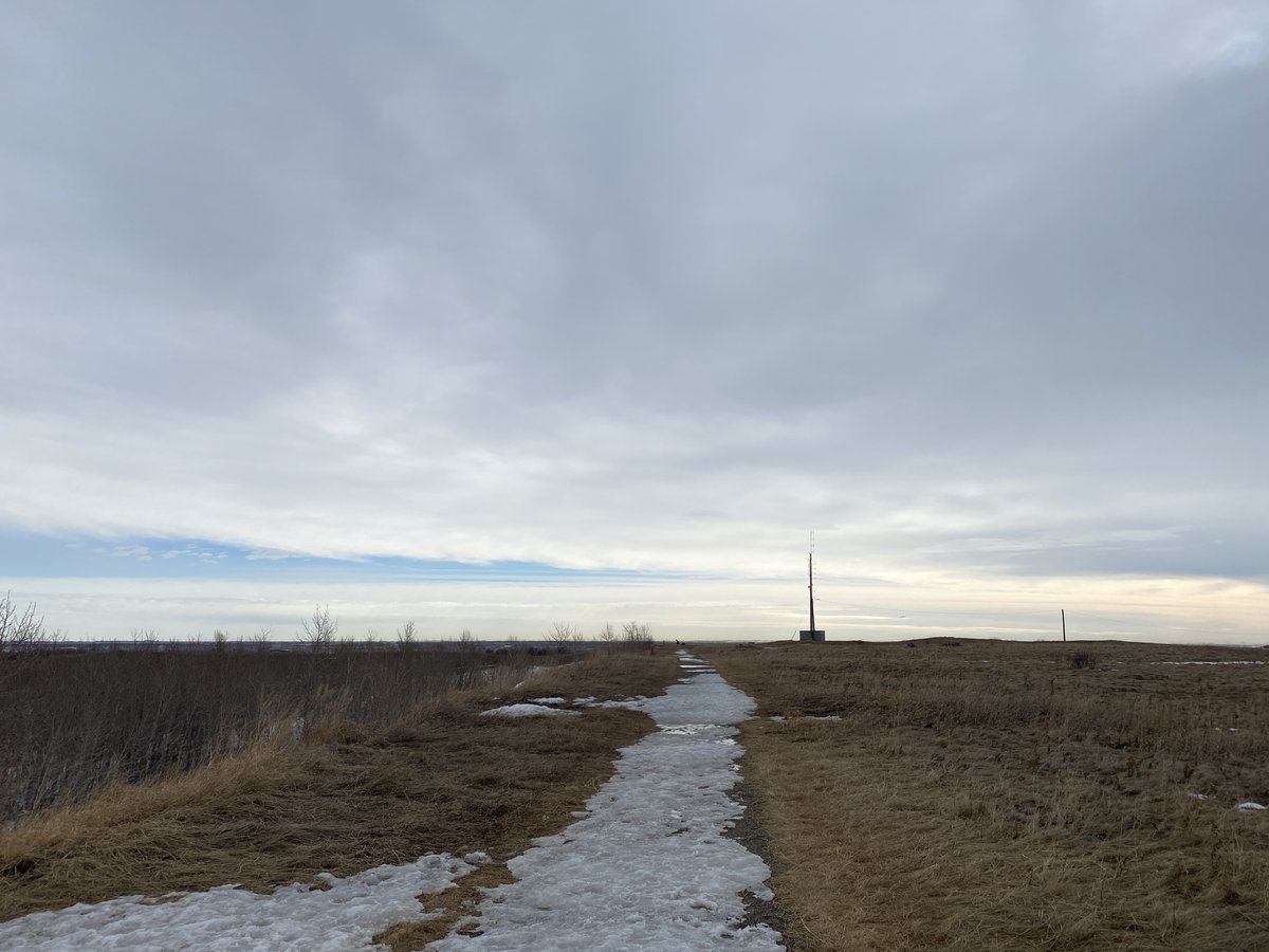 Nose Hill trail report: icy and muddy. Quiet morning up there. Saw only a few people.