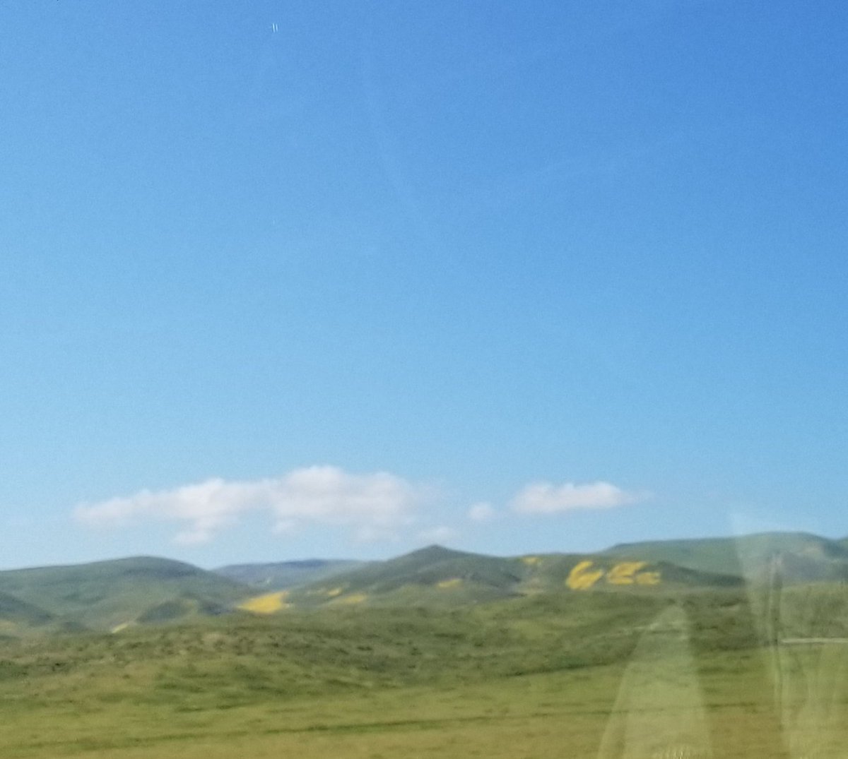 You could see the shades of yellow wildflowers on the side of the hills
#CentralCalifornia