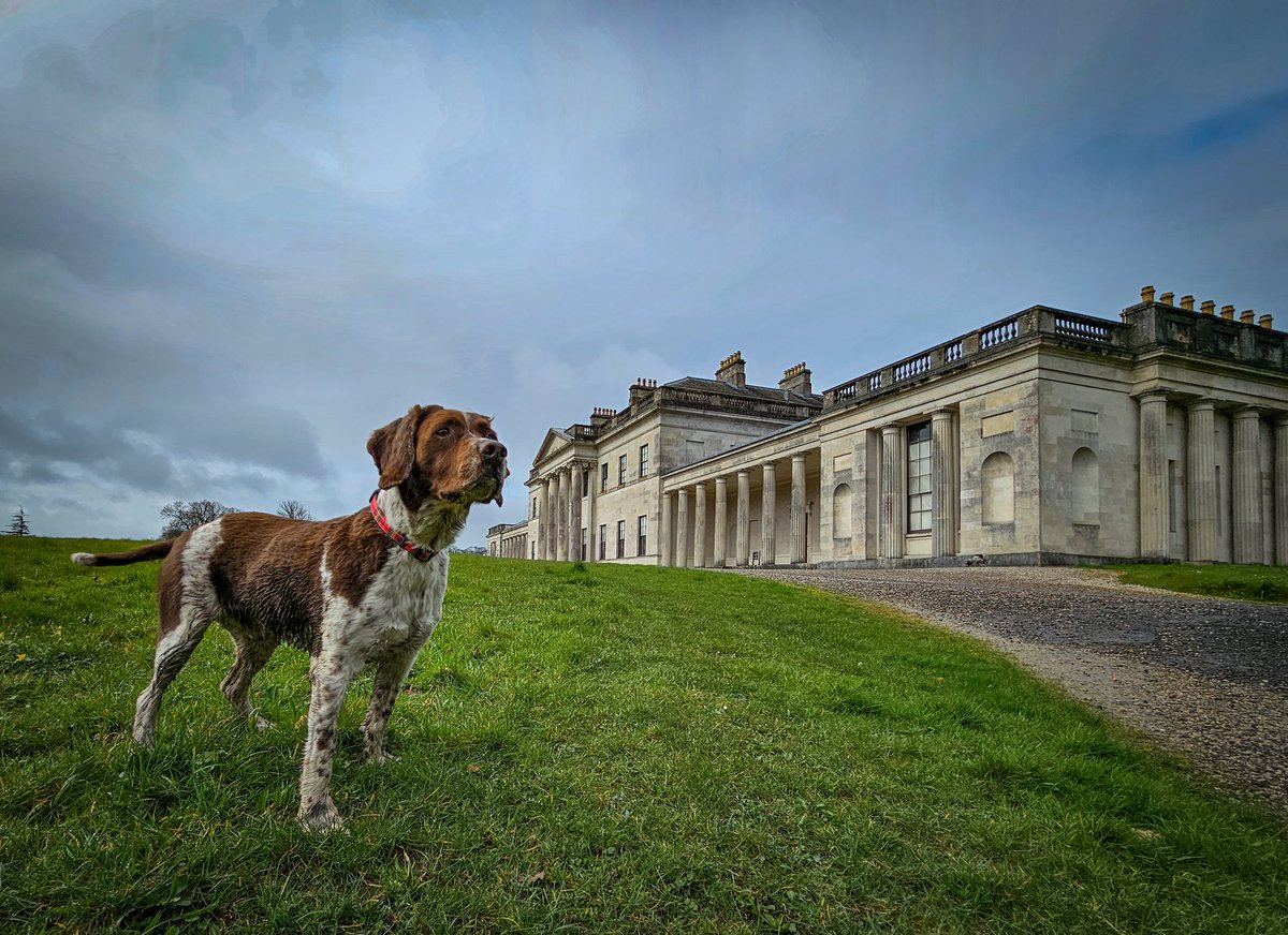 Derek Heeps Photo (@derekheeps) on Twitter photo Gerrard enjoying his walk between the showers at Castle Coole <a href="/barrabest/">Barra Best</a> <a href="/WeatherCee/">Cecilia Daly</a> <a href="/angie_weather/">angie phillips</a> <a href="/nationaltrust/">National Trust</a> <a href="/NationalTrustNI/">National Trust NI</a> Gerrard enjoying his walk between the showers at Castle Coole <a href="/barrabest/">Barra Best</a> <a href="/WeatherCee/">Cecilia Daly</a> <a href="/angie_weather/">angie phillips</a> <a href="/nationaltrust/">National Trust</a> <a href="/NationalTrustNI/">National Trust NI</a>