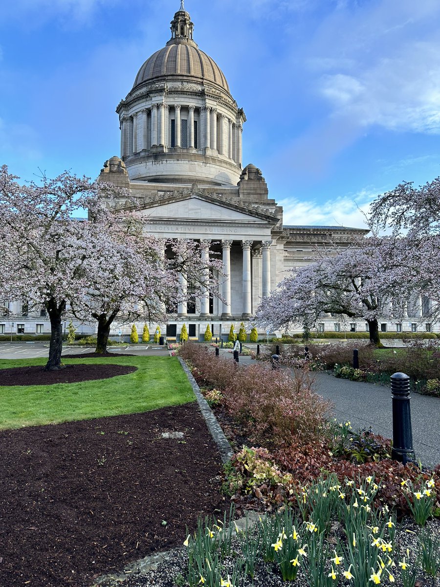 It’s a beautiful day in the neighborhood