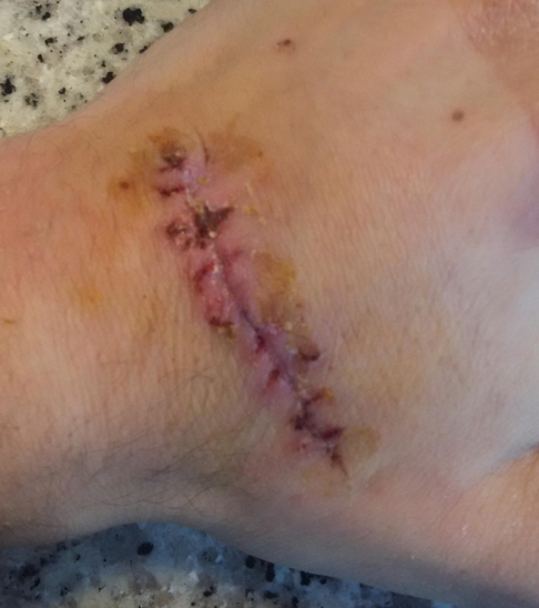 LaNombre tweet media