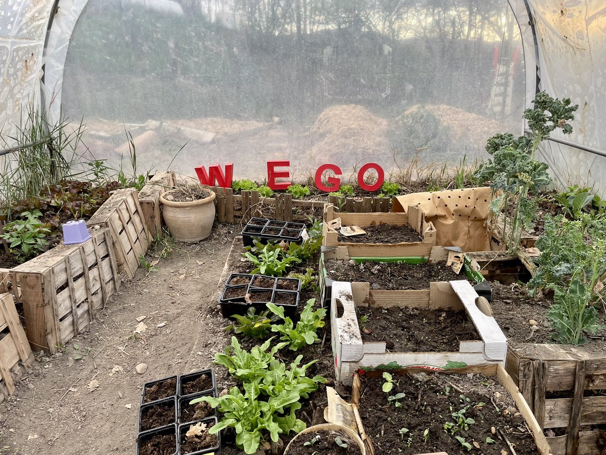 WeGoProductions's tweet photo. WEGO-Prod-EcoResponsable 😍 au sein même de l’entreprise et pour l’équipe notre nouvelle serre 🐝🦋🪲🦕🦆🐛🪲🐞🐦‍⬛🐜
#ecoresponsable #biodiversite #nature  #respect #environnement https://t.co/uPto9zPmEa