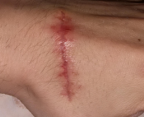 LaNombre tweet media